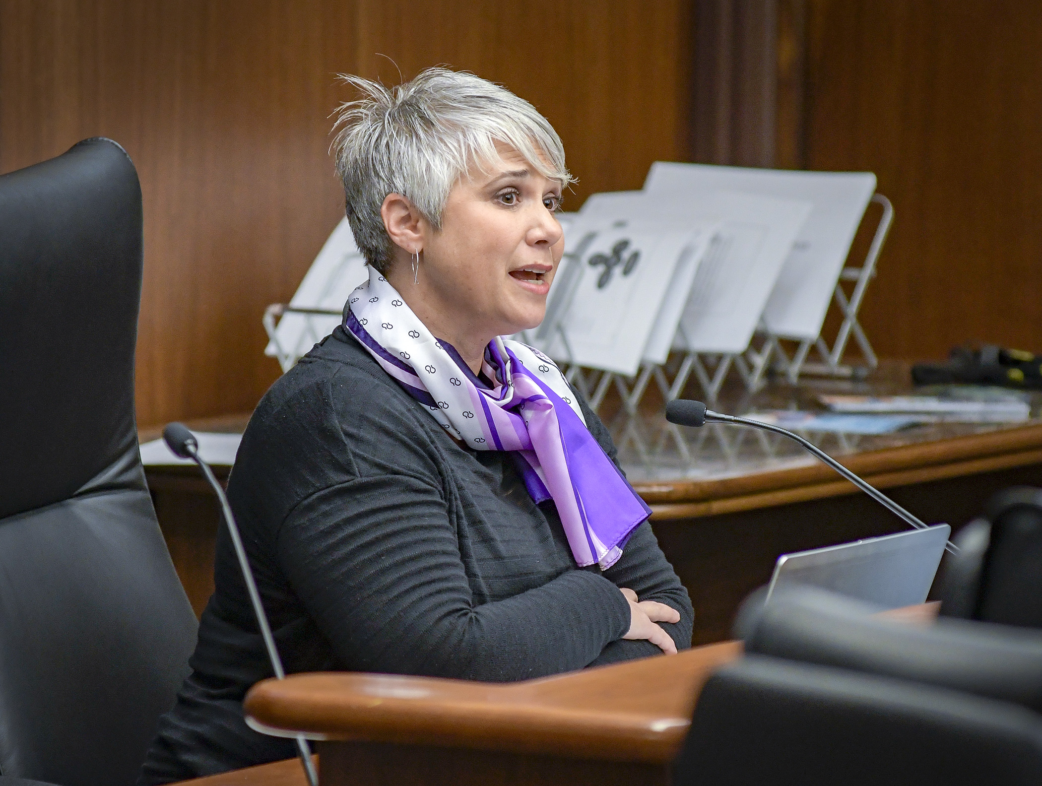 Beth McMullen, vice president of government affairs for the Alzheimer’s Association, presents recommendations of the dementia standards workgroup to the House Long-Term Care Division Feb. 4.  Photo by Andrew VonBank